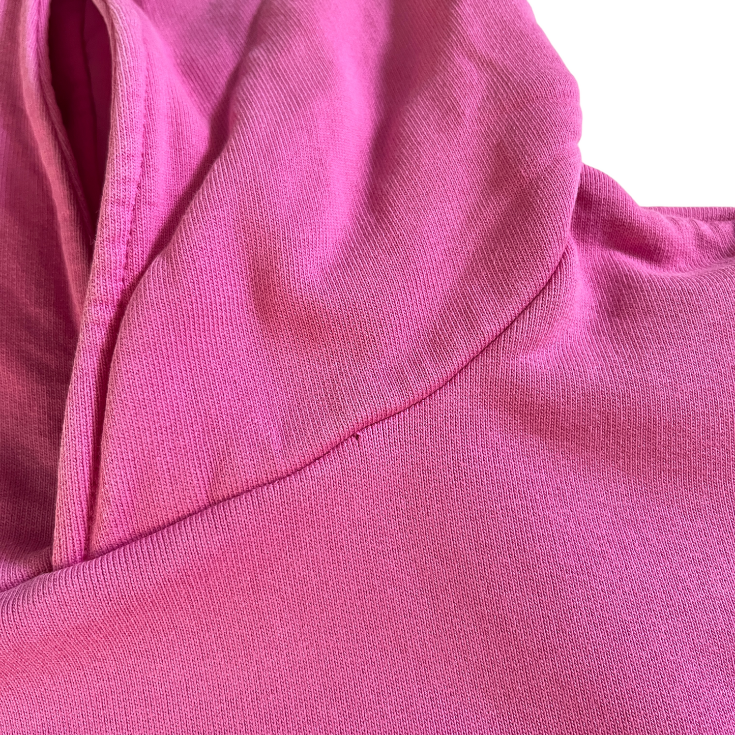 GIUSEPPE DI MORABITO Sweatshirt With Rose