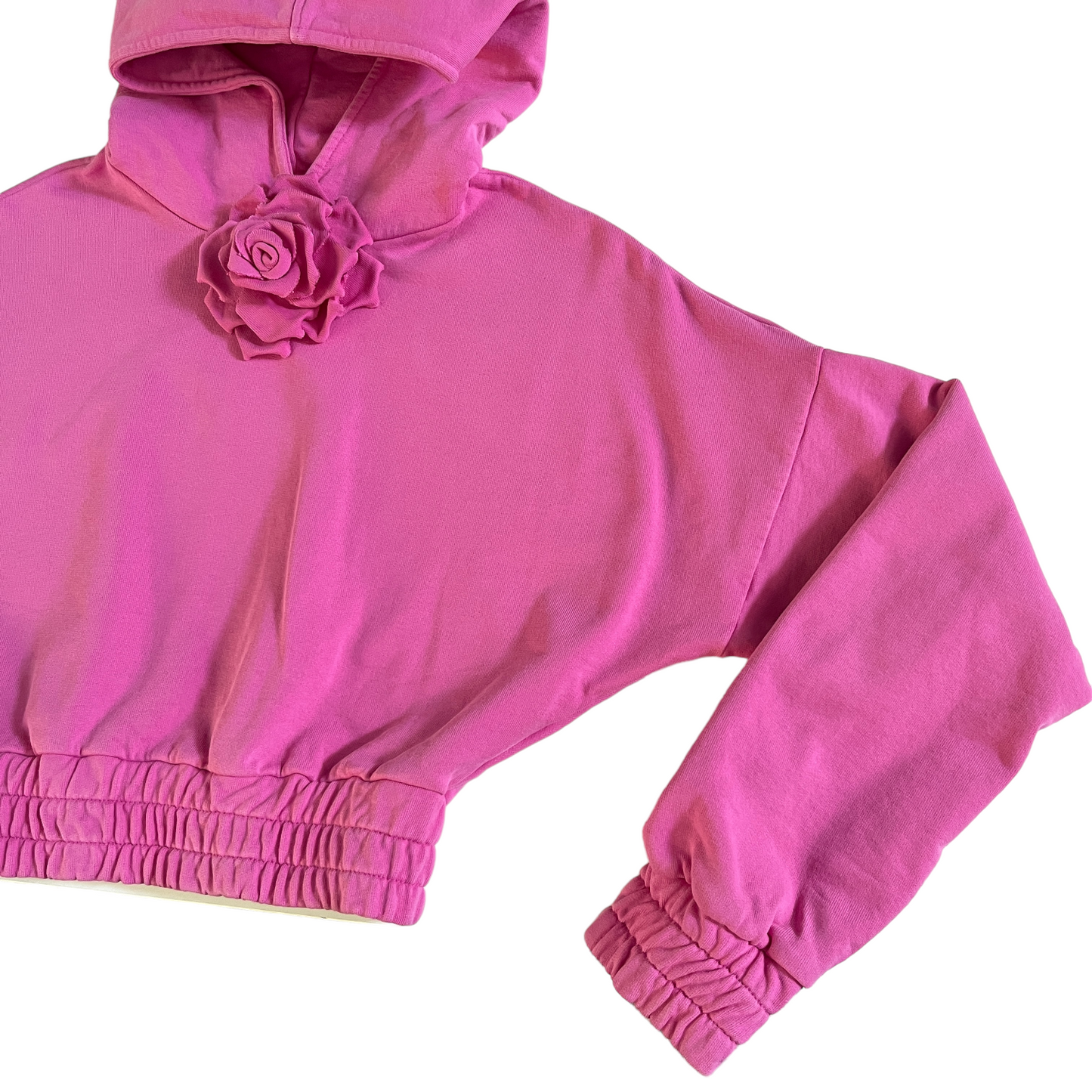 GIUSEPPE DI MORABITO Sweatshirt With Rose