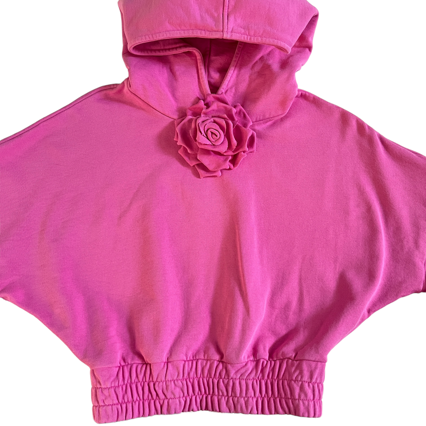 GIUSEPPE DI MORABITO Sweatshirt With Rose